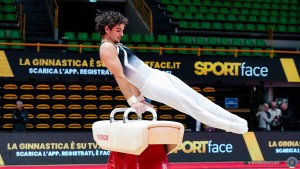 serie b 0785 simone ferraro ph